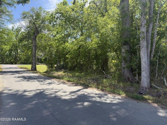 Land for sale in Port Barre, Louisiana