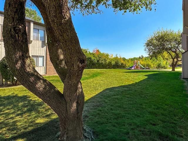 Apartment for rent in Troy, Michigan
