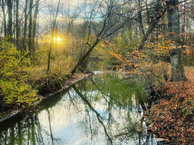 Land for sale in Three Oaks, Michigan