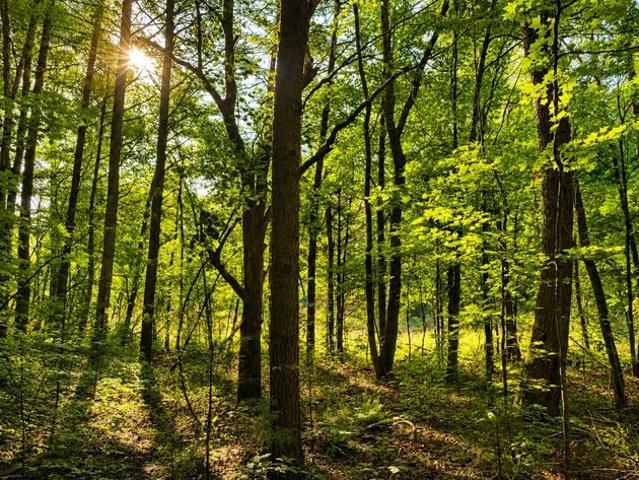 Land for sale in Tennessee