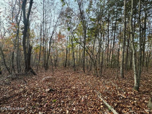 Land for sale in Tennessee