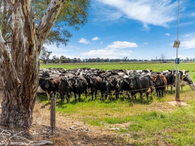 Cottage for sale in Girgarre, Victoria