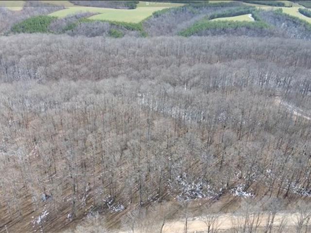 Land for sale in Tennessee