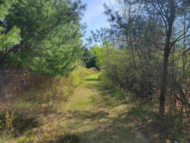 Land for sale in Gladwin