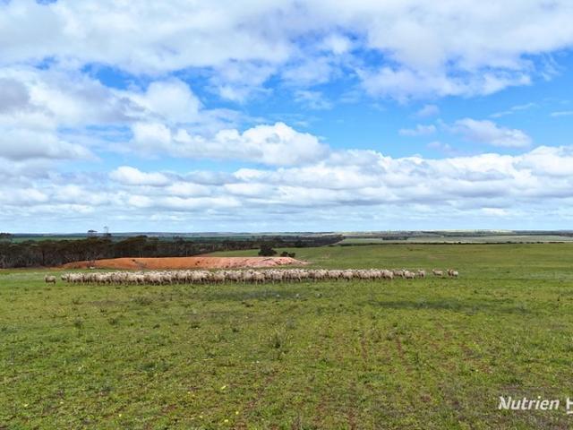 Property for sale in West Holleton, Western Australia