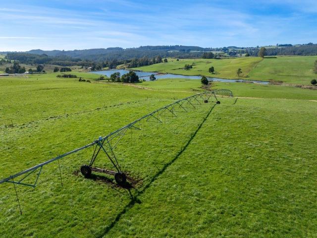 Cottage for sale in West Ridgley, Tasmania
