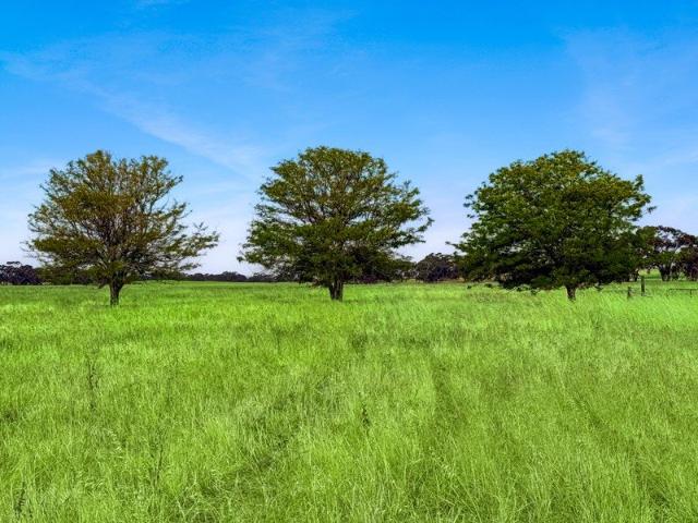 Acreage for sale in Bordertown, South Australia