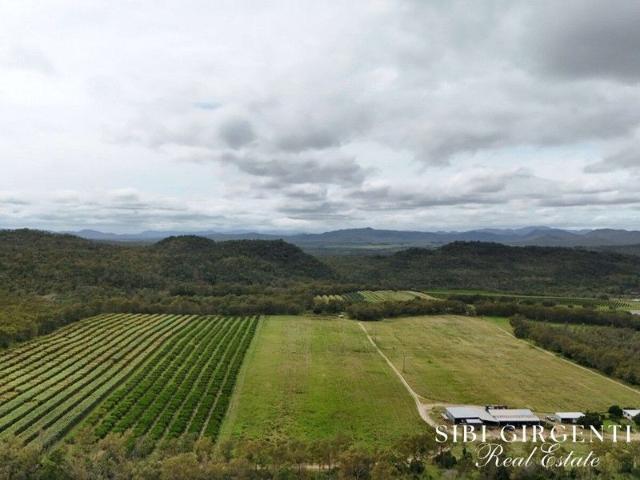Cottage for sale in Dimbulah, Queensland