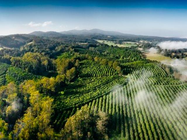 Property for sale in Warrell Creek, Nambucca Valley Council