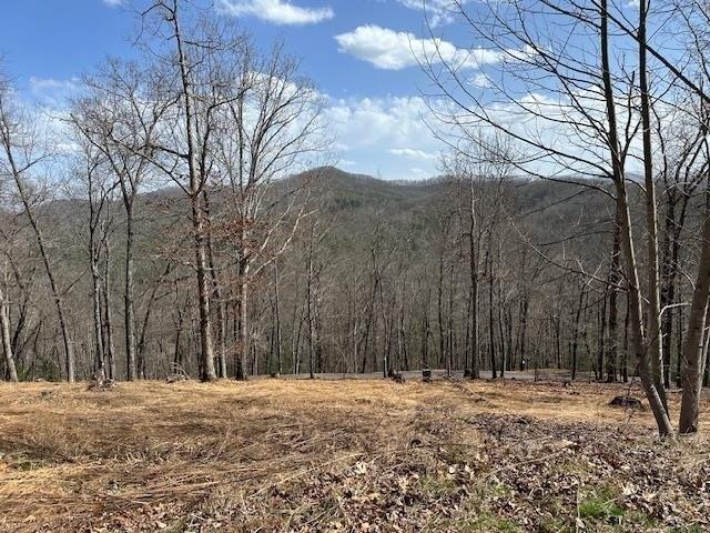 Land for sale in Hayesville