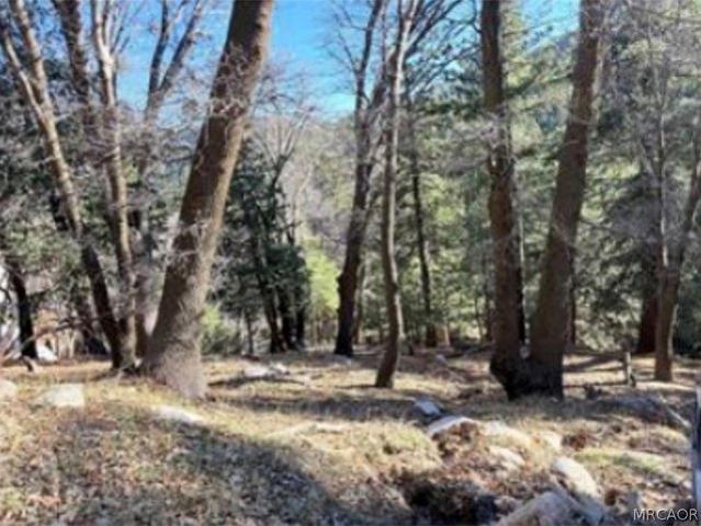 Land for sale in Cedar Glen, California