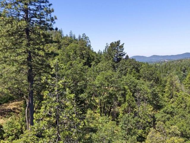 Land for sale in Sonora, California