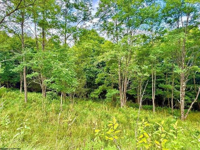 Land for sale in Harman, Randolph County