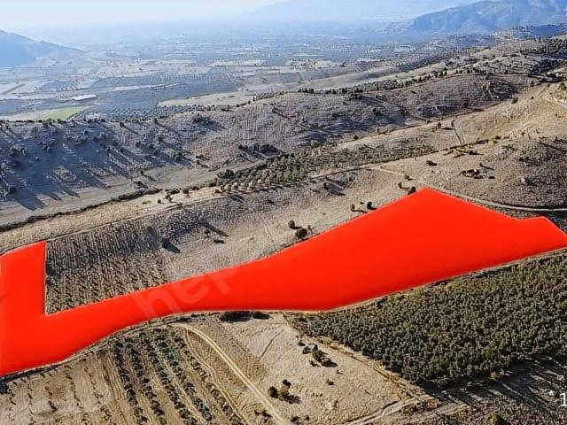 Bayindir, İzmir içerisinde satılık Arsa