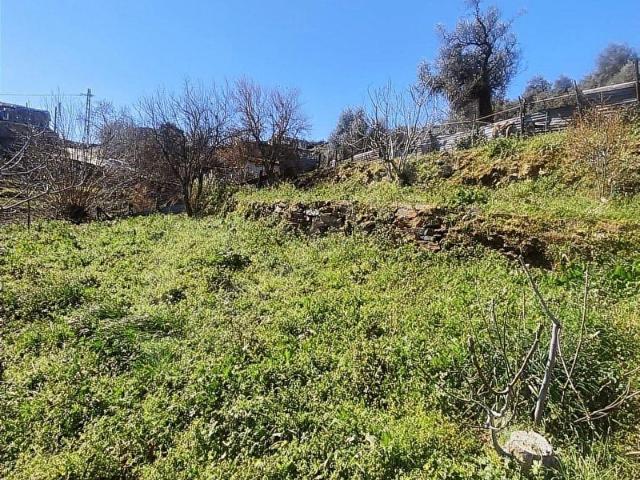 Bayindir, İzmir içerisinde satılık mülk