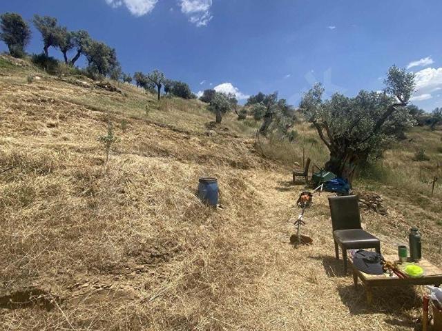 Bayindir, İzmir içerisinde satılık mülk