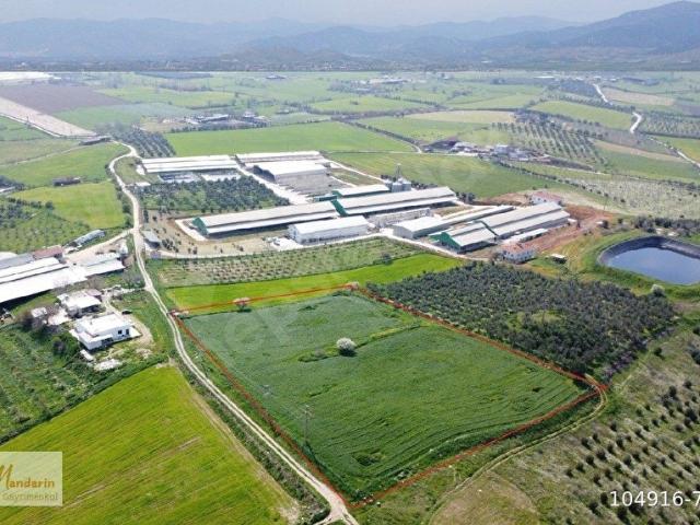 Tire, İzmir içerisinde satılık Arsa