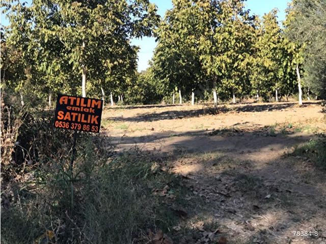 Tire, İzmir içerisinde satılık mülk