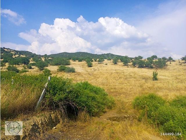 Tire, İzmir içerisinde satılık Arsa