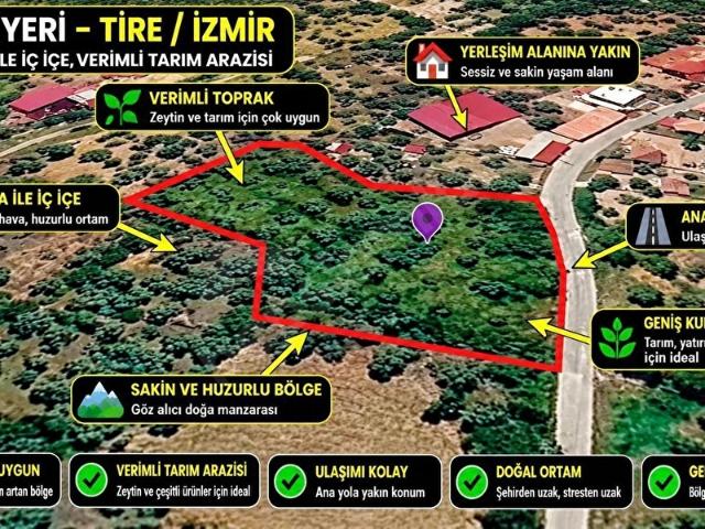 Işıklı Mahallesi, Tire içerisinde satılık mülk