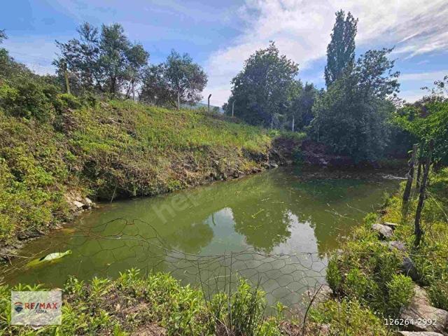 Tire, İzmir içerisinde satılık Arsa