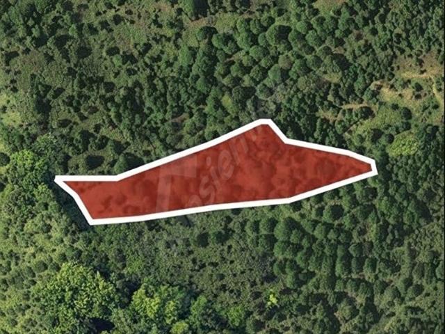 Yamandere Mahallesi, Tire içerisinde satılık Arsa