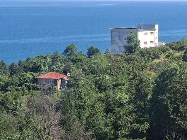 Yalıköy, Tirebolu içerisinde satılık mülk