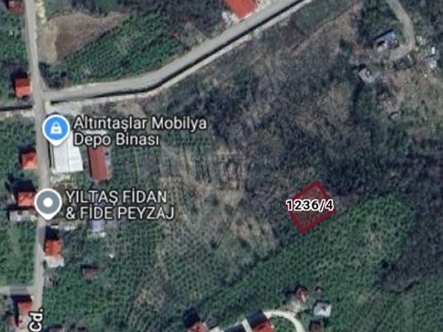 Adabük, Espiye içerisinde satılık Arsa