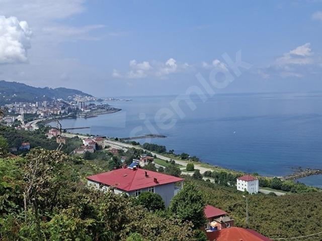 Karademir, Tirebolu içerisinde satılık mülk