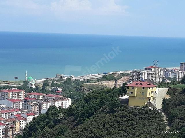 Körliman, Tirebolu içerisinde satılık mülk