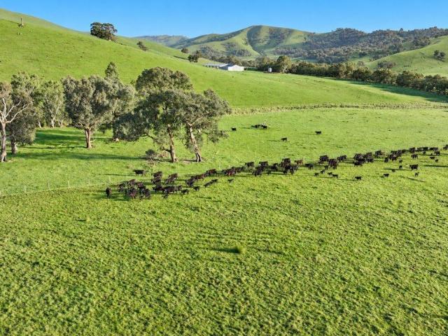 Cottage for sale in Yea, Shire of Murrindindi