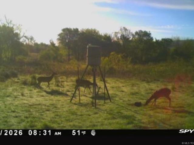 Land for sale in Oklahoma