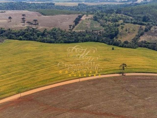 Sítio e chácara venda em Tibagi, Região Geográfica Intermediária de Ponta Grossa