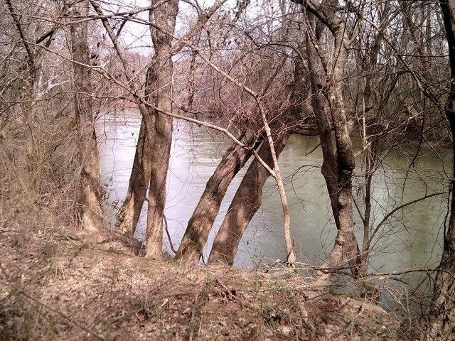 Land for sale in Dalton, Georgia