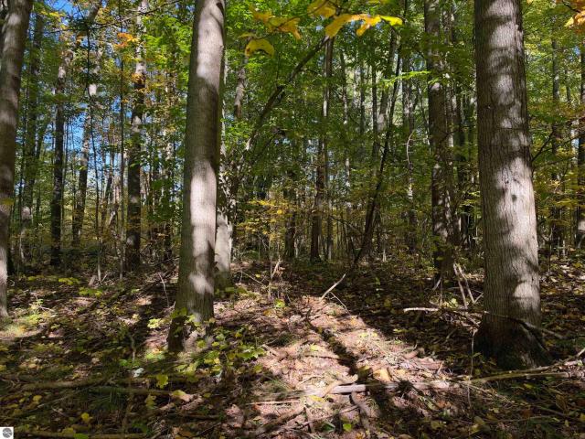 Land for sale in Cedar Township, Osceola County