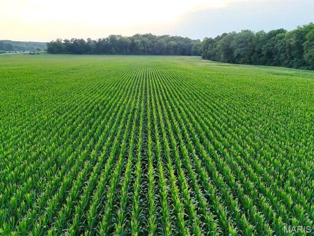 Land for sale in Elsberry, Missouri