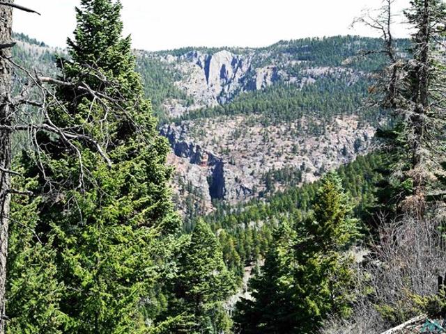 Land for sale in Chama, New Mexico