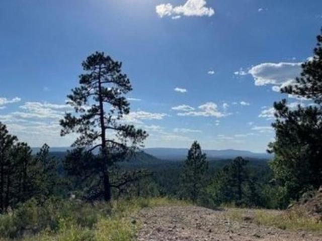 Land for sale in Chama, New Mexico