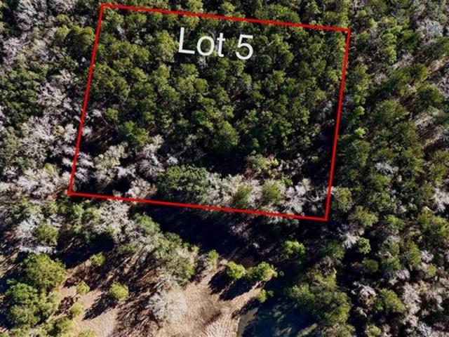 Land for sale in Pace, Florida