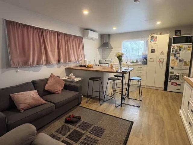 House for rent in Hamilton Central, Hamilton City