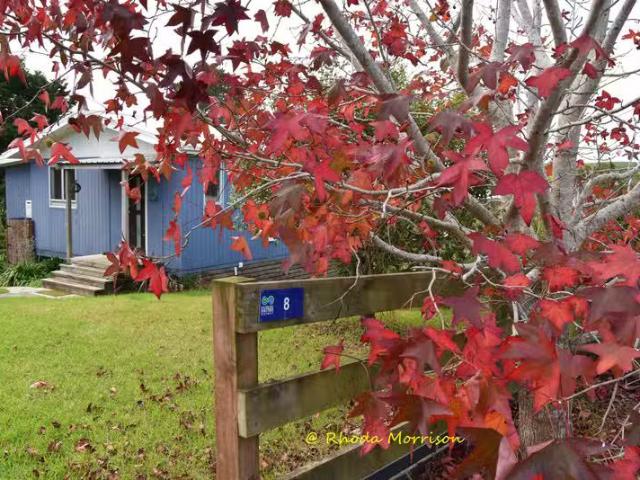 House for sale in Pahi, Northland