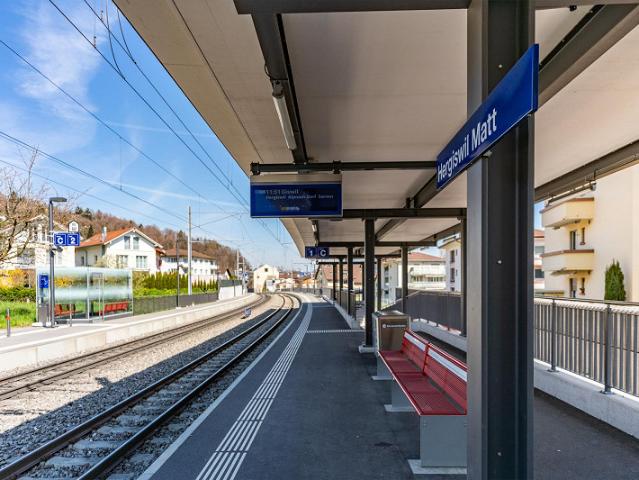 Immobilie kaufen in Hergiswil (NW), Nidwalden