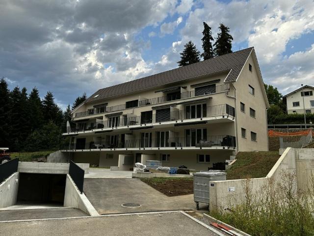 Garage mieten in Feldbach, Hombrechtikon