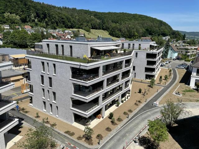 Immobilie mieten in Hätschen, Dietikon
