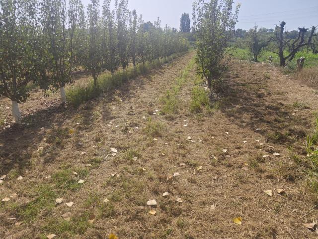 Terreno en venta en Albatàrrec, Lleida