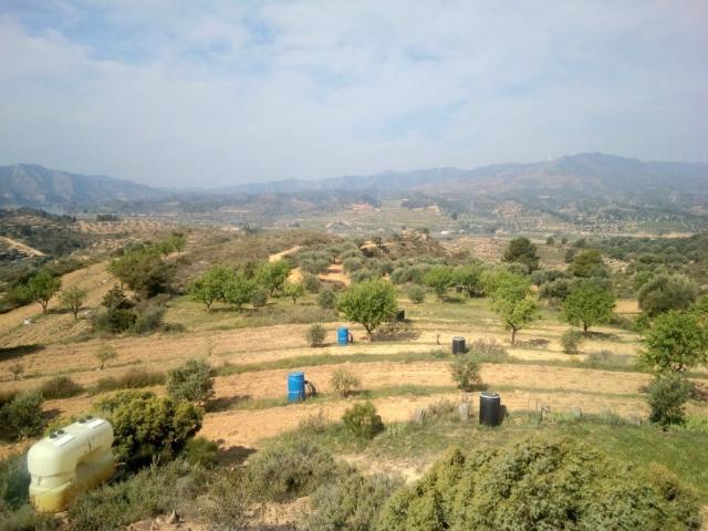 Casa en venta en Ribera d'Ebre, Catalunya