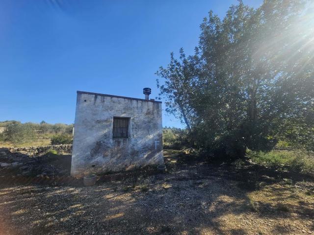 Terreno en venta en Montsià, Catalunya
