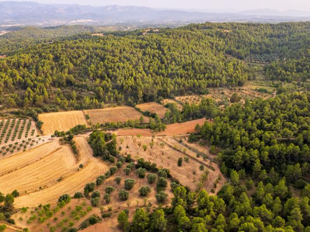 Terreno en venta en Matarraña / Matarranya, Lledó