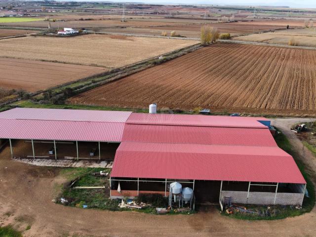 Terreno en venta en San Millán De Los Caballeros, Castilla y León