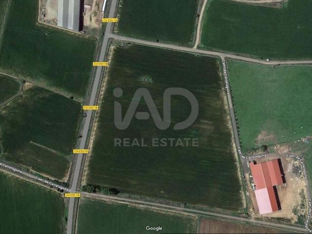 Casa en venta en San Millán De Los Caballeros, Castilla y León